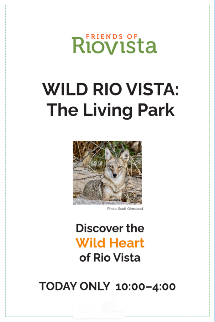 Look for this sign on the west side of the park, near the Tucson Boulevard entrance.