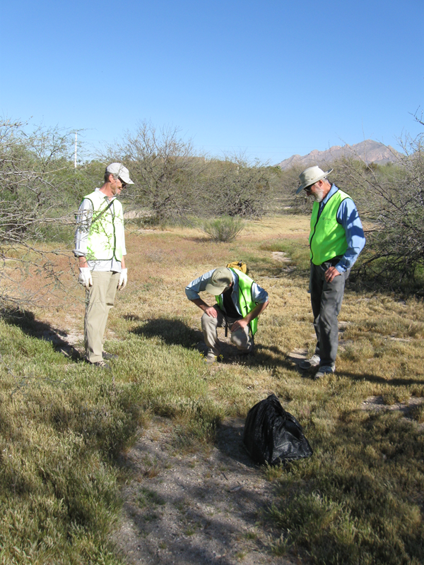 Weed Watchers volunteers Jeff Anderson, Gary Bachman, and Tom Richardson on survey in Rio Vista.
Photo credit: Friends of Rio Vista.